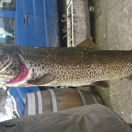 호텔 Tierra De Lobos 3*