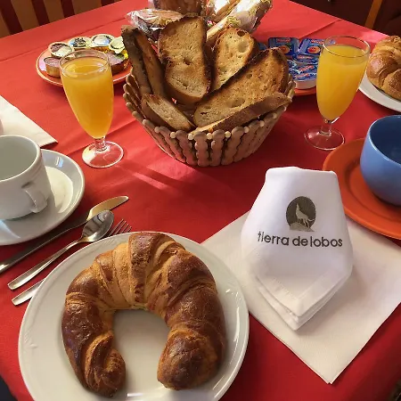 Hotel Tierra De Lobos 3*