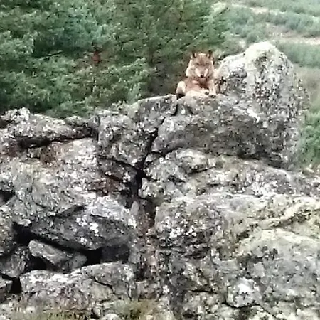 호텔 Tierra De Lobos 3*