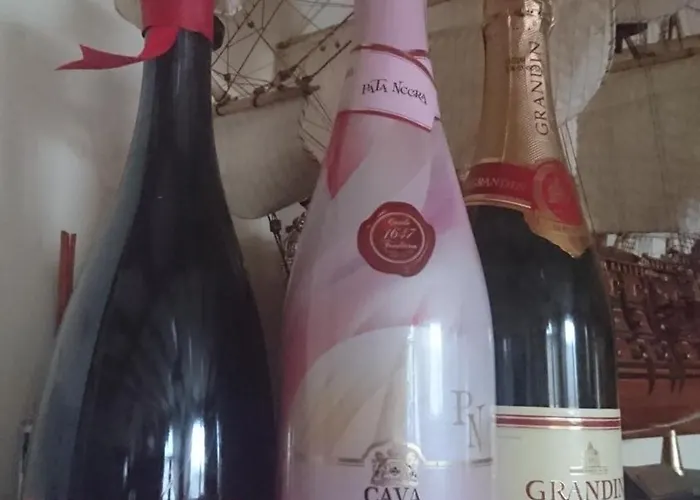 Hotel Tierra De Lobos 3*