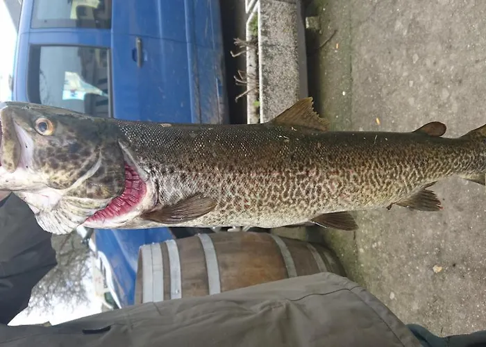 Hotel Tierra De Lobos 3*