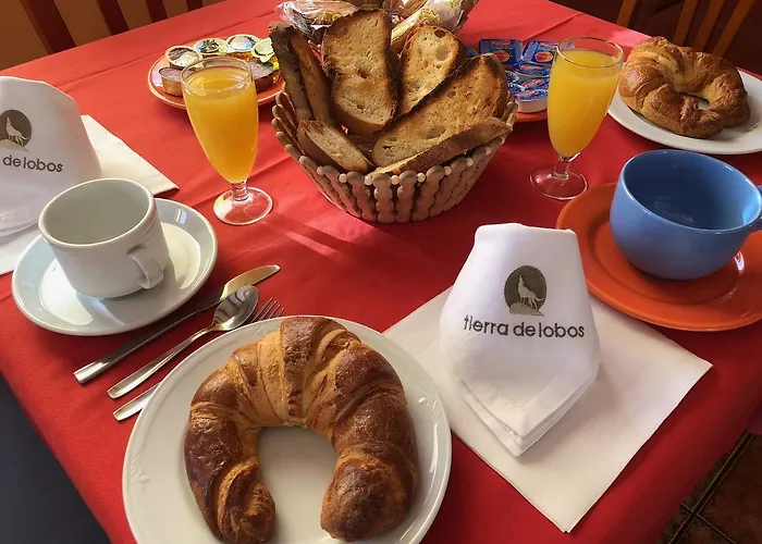 Hotel Tierra De Lobos 3*