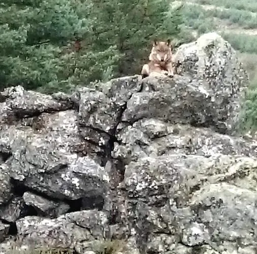호텔 Tierra De Lobos 3*
