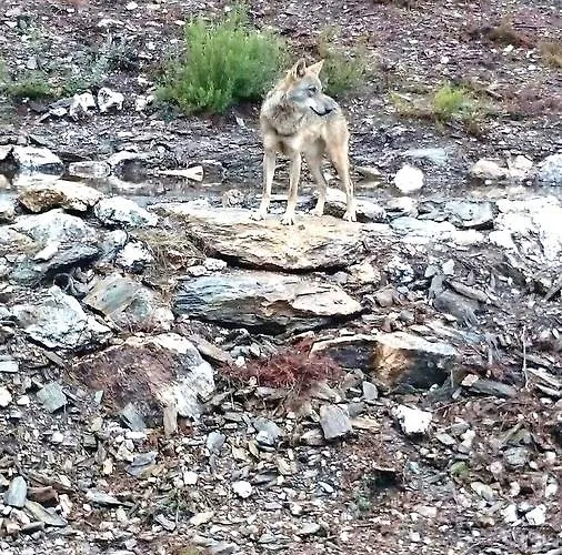 호텔 Tierra De Lobos 3*